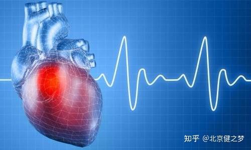 养心补心绝不能错过的十种食物! - 知乎