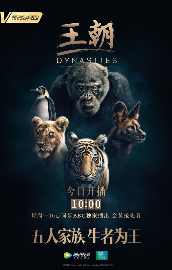 如何评价BBC 与腾讯视频合作推出的自然类纪录片《王朝》（DYNASTIES