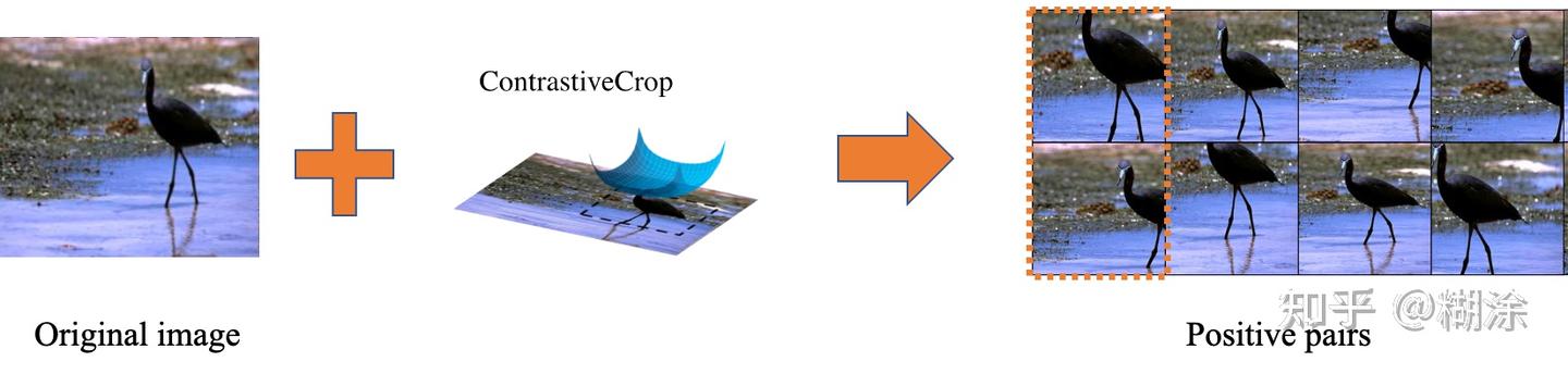 Crafting Better Contrastive Views for Siamese Representation Learning - 知乎