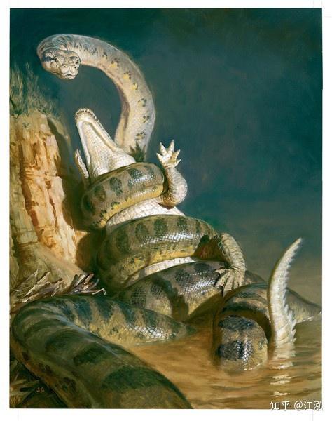 图注:泰坦蟒生活场景图,左上角是冥河鳄,右上角是煤龟,图片来自网络