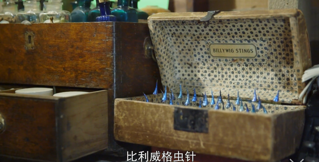 纽特的箱子是这部电影的核心本期介