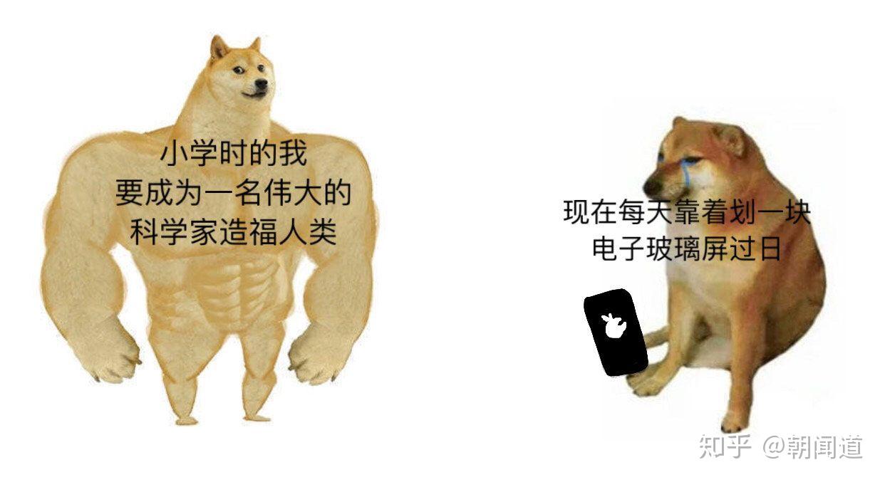 你有什么私藏的MEME图/梗图/迷因图? - 知乎