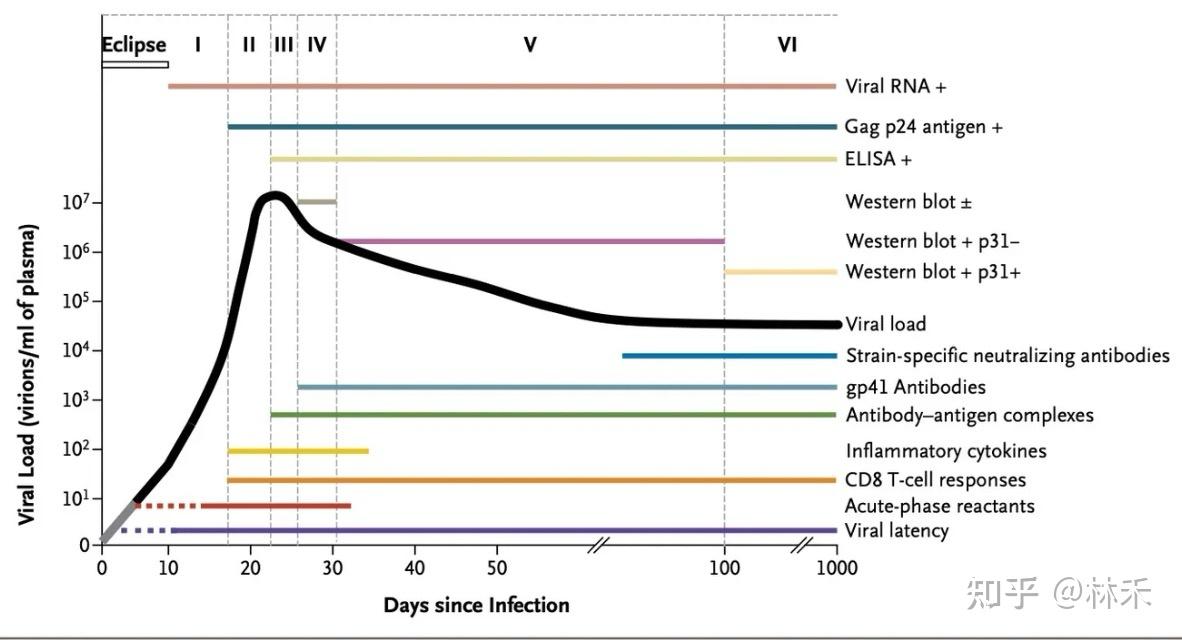 可以排除hiv了嘛？真的快疯了?