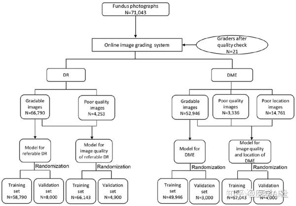 基于大规模中国人群彩色眼底照片的糖尿病视网膜病变自动深度学习算法