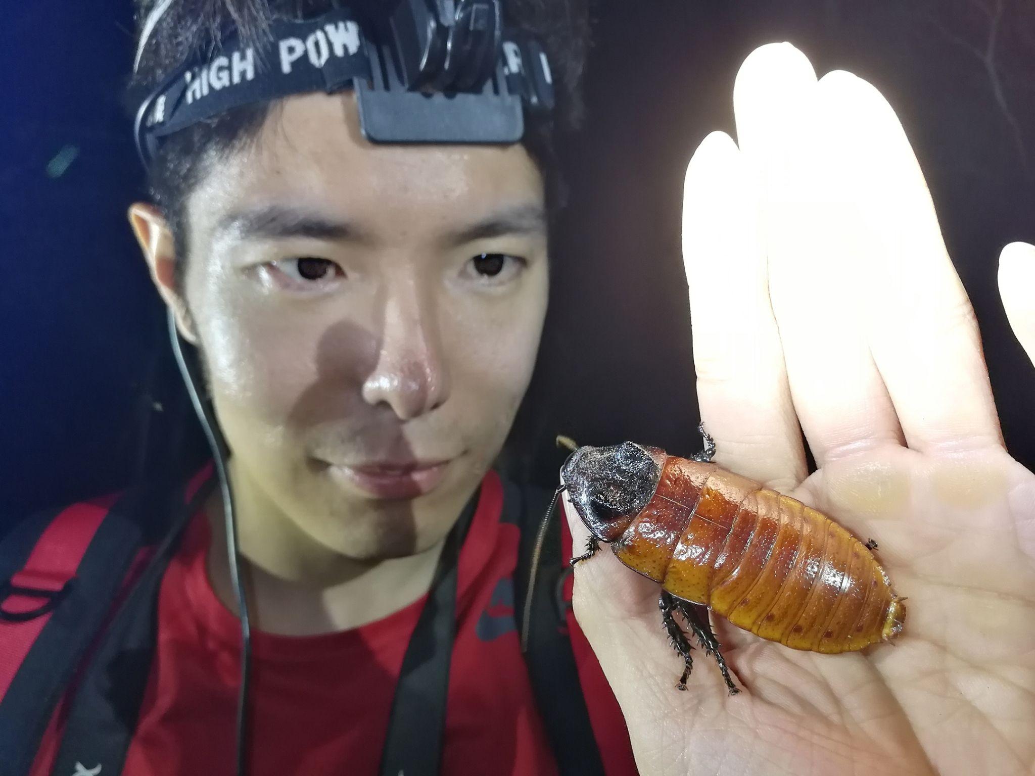 蟑螂骑脸是怎样一种体验?