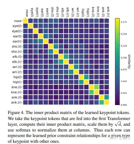 论文笔记TokenPose: Learning Keypoint Tokens for Human Pose Estimation(附 ...