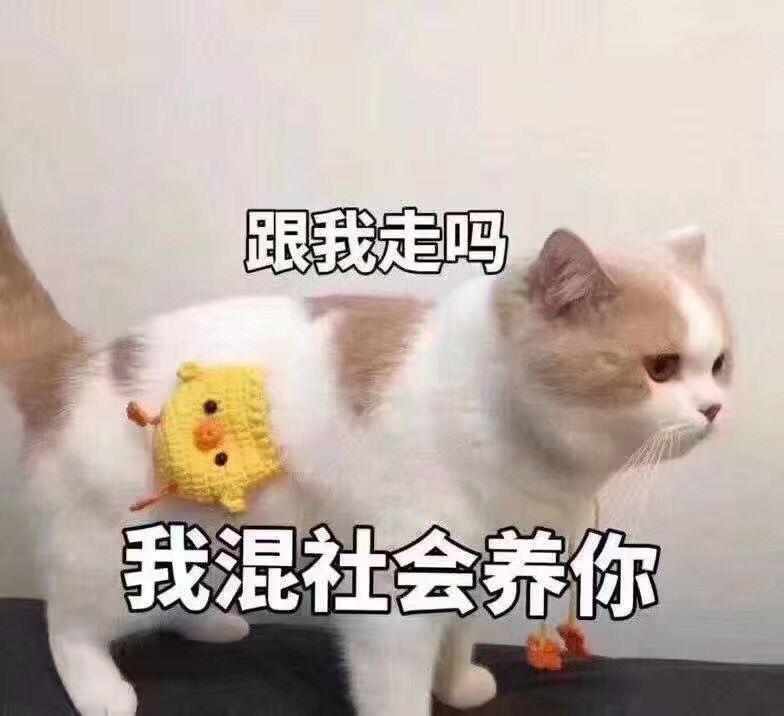 开心快乐表情包可爱 v2-fa8f33c35c4a3f228257cf9bc3cc2c31_r.jpg