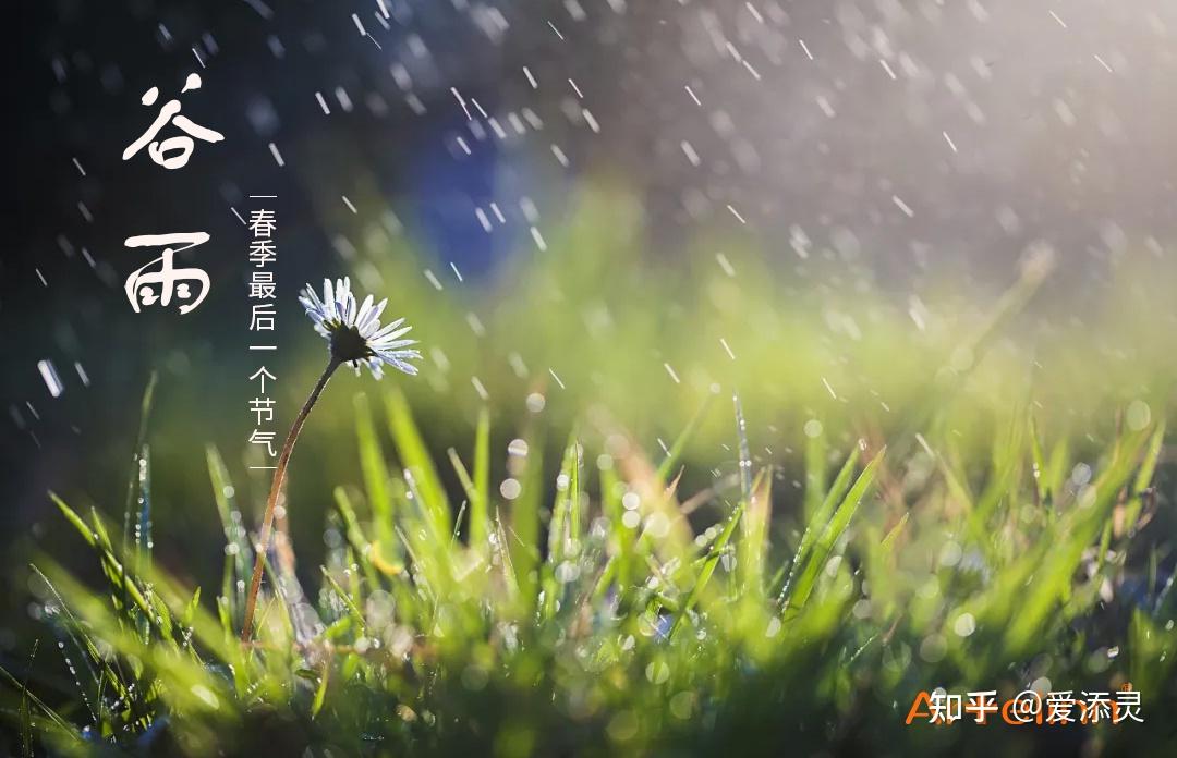 2021年4月20日,穀雨如期而至.