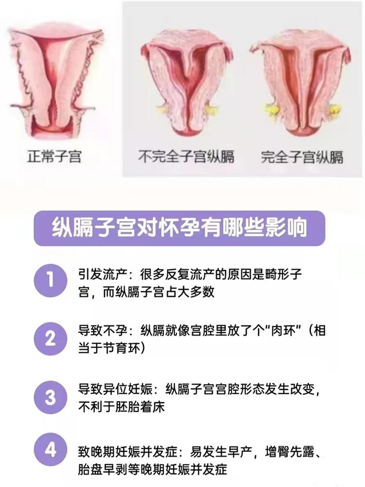 2025年618哪一款手机性价比高全品牌全价位手机推荐与选购指南国补版