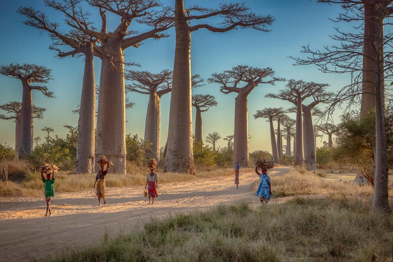 遥远的马达加斯加：生活的不富裕，丝毫影响不到这世间的这片美丽_地方
