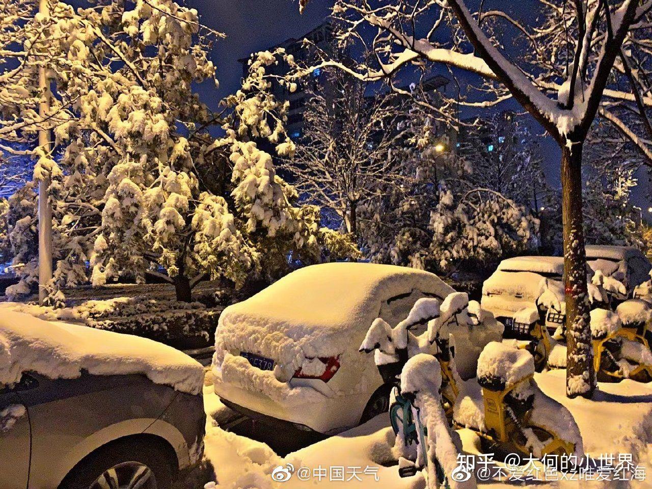 如何看待牛年的第一场雪你那下雪了吗