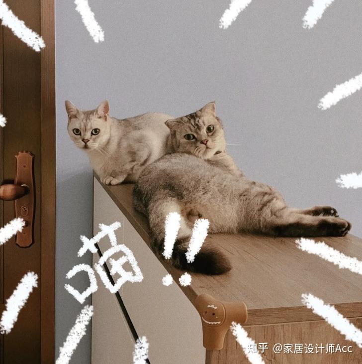 两人两猫78㎡的家,恰到好处的设计,生活撸猫两不误 - 知乎