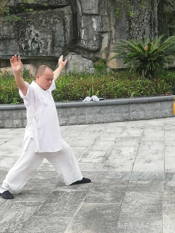 武当自然太极门传统太极拳的中正安舒自然态 知乎