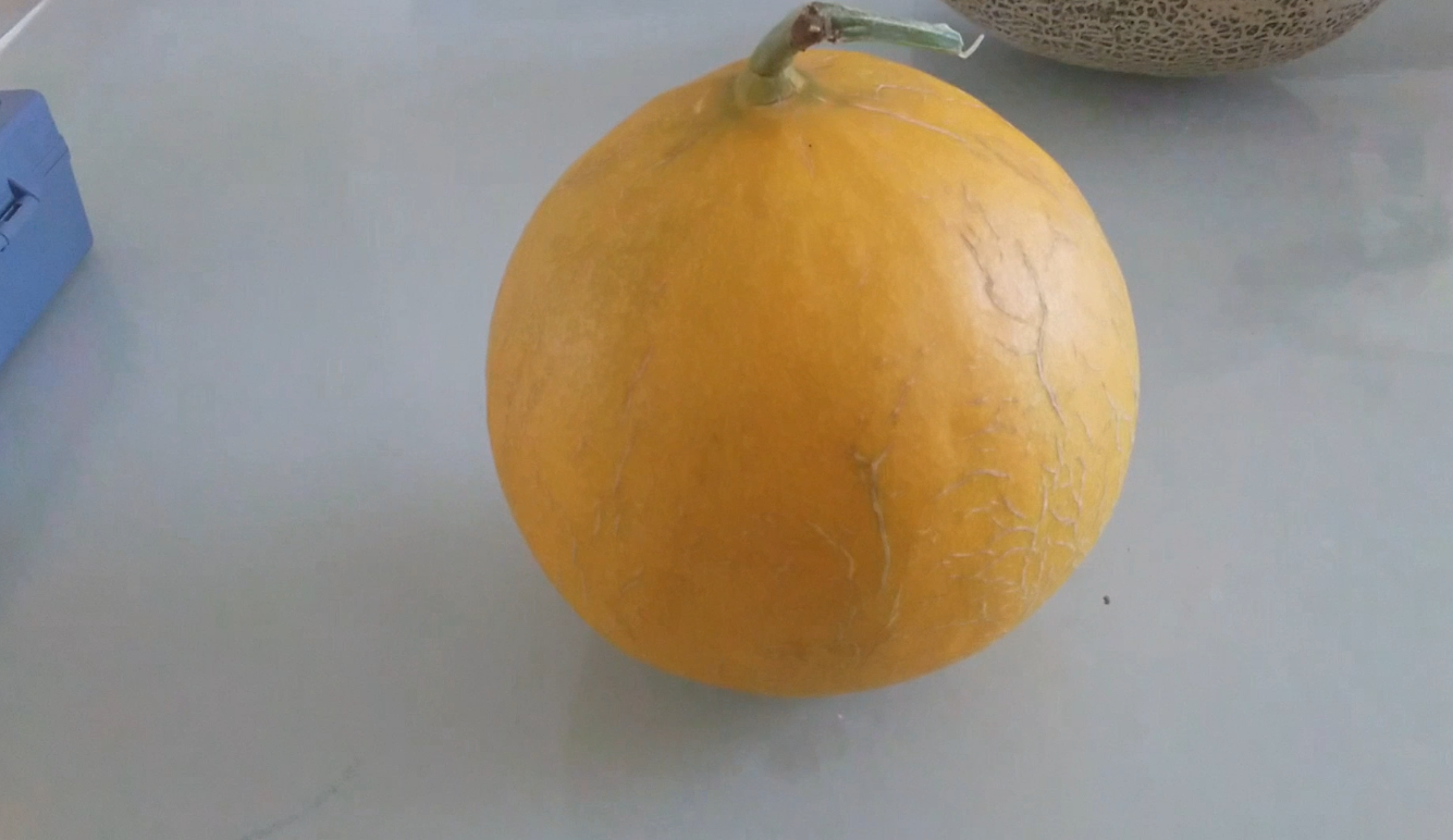 新疆哈密瓜黄蛋子品系味道还是不错的稍脆多汁香味很浓