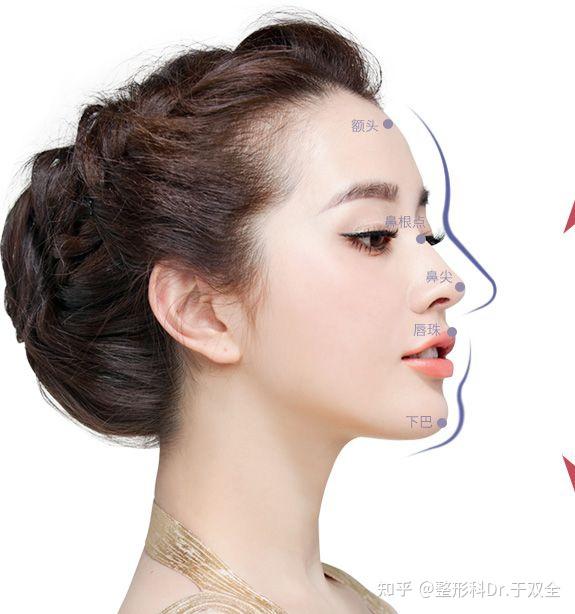 鼻子有哪些美学标准什么样的鼻子最好看