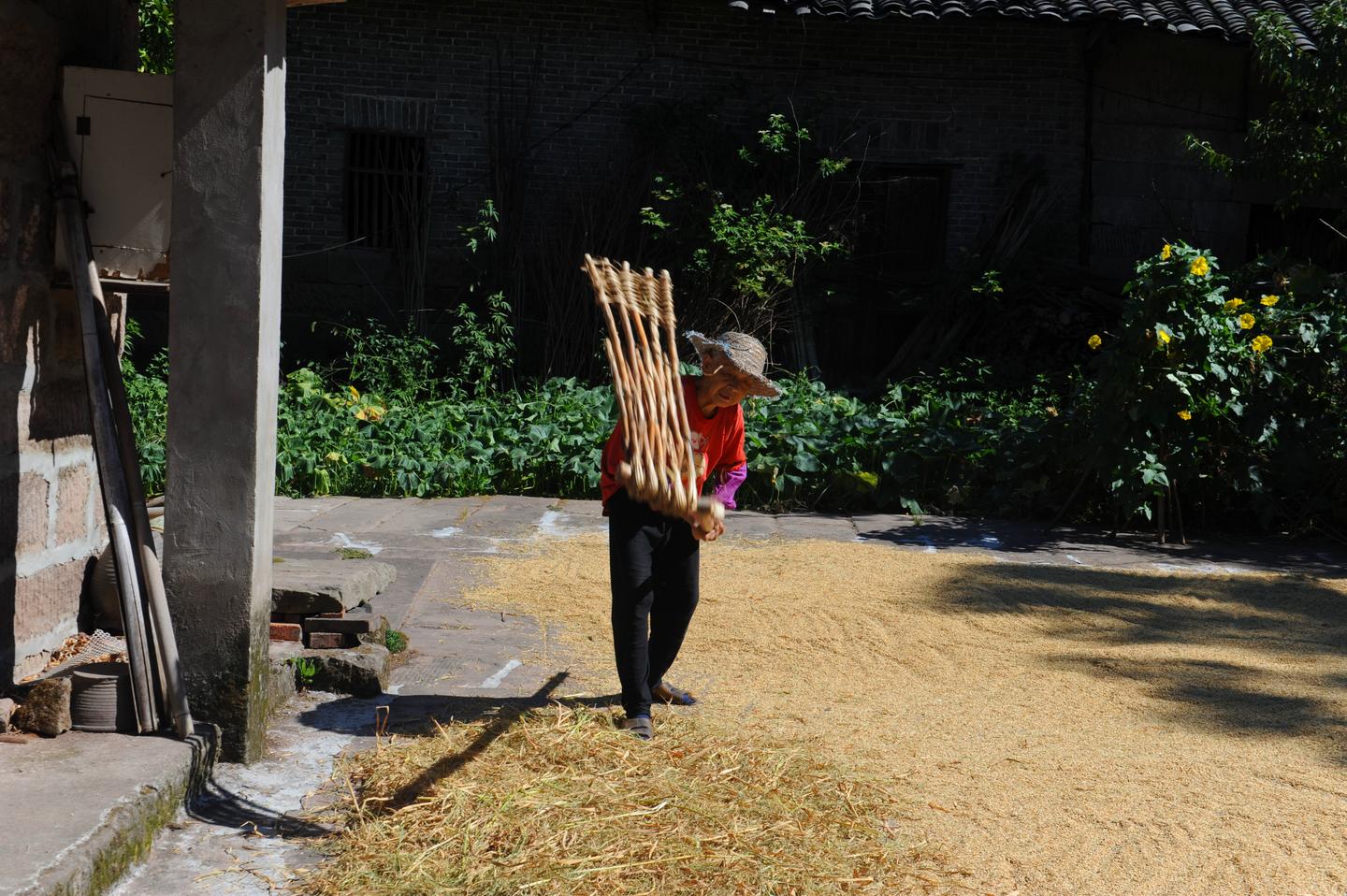 李文全随拍连枷想表达的是不是五谷丰登也有跫音