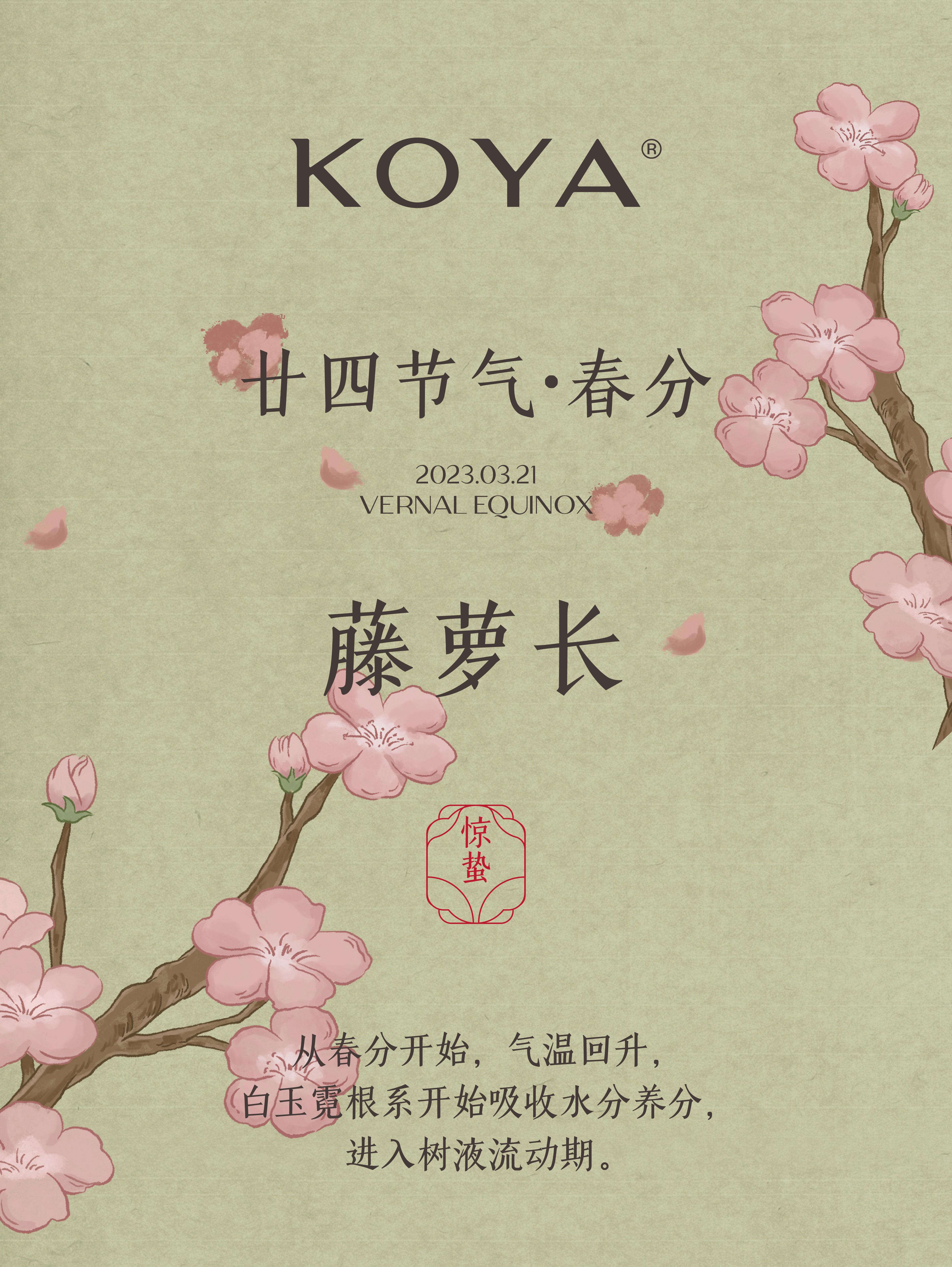 春分丨可雅白兰地,一半春色凝香,一半春色知味 - 知乎
