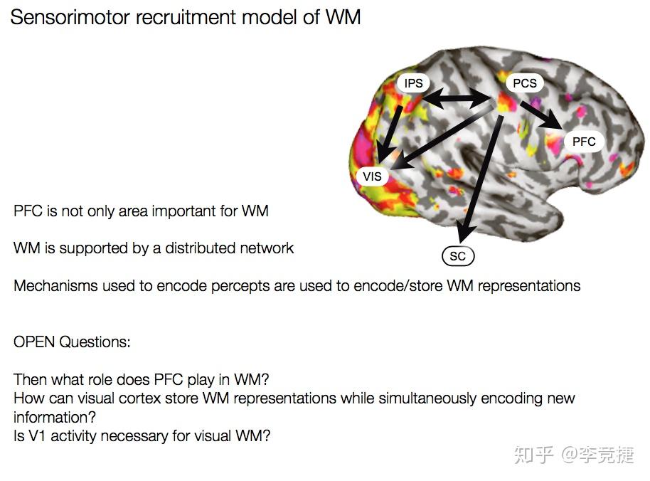 有限的容量如果是单个的储存器,存储多种信息会冲突(collide)实际上