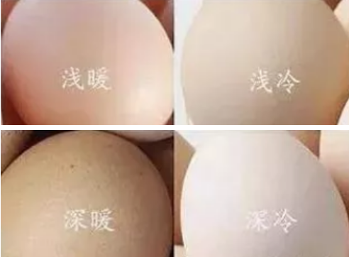 如何分辨冷皮暖皮