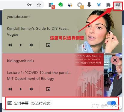网课绝佳神器，实时同步字幕已上线！ 知乎 