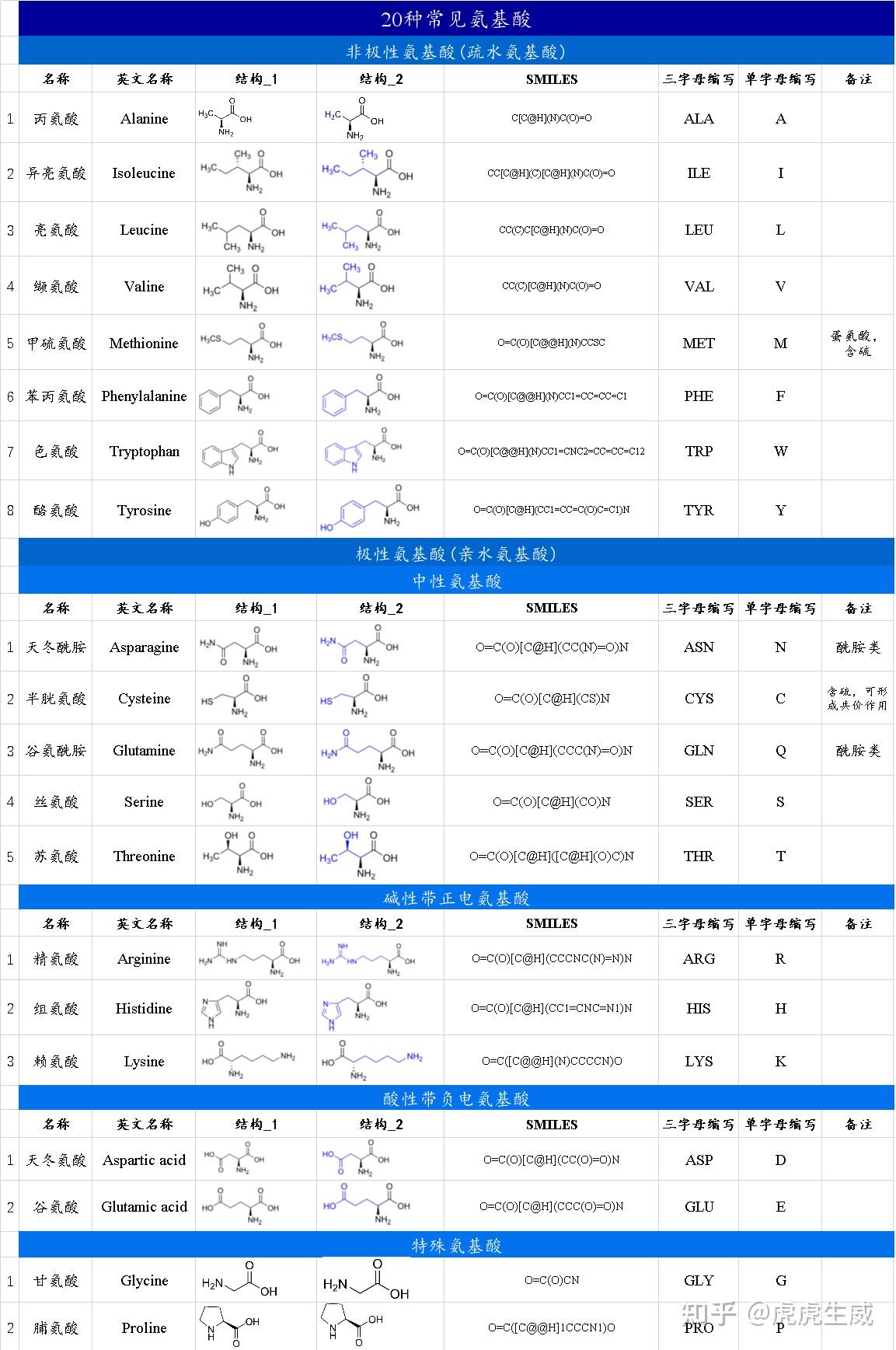 20种氨基酸结构式图片图片