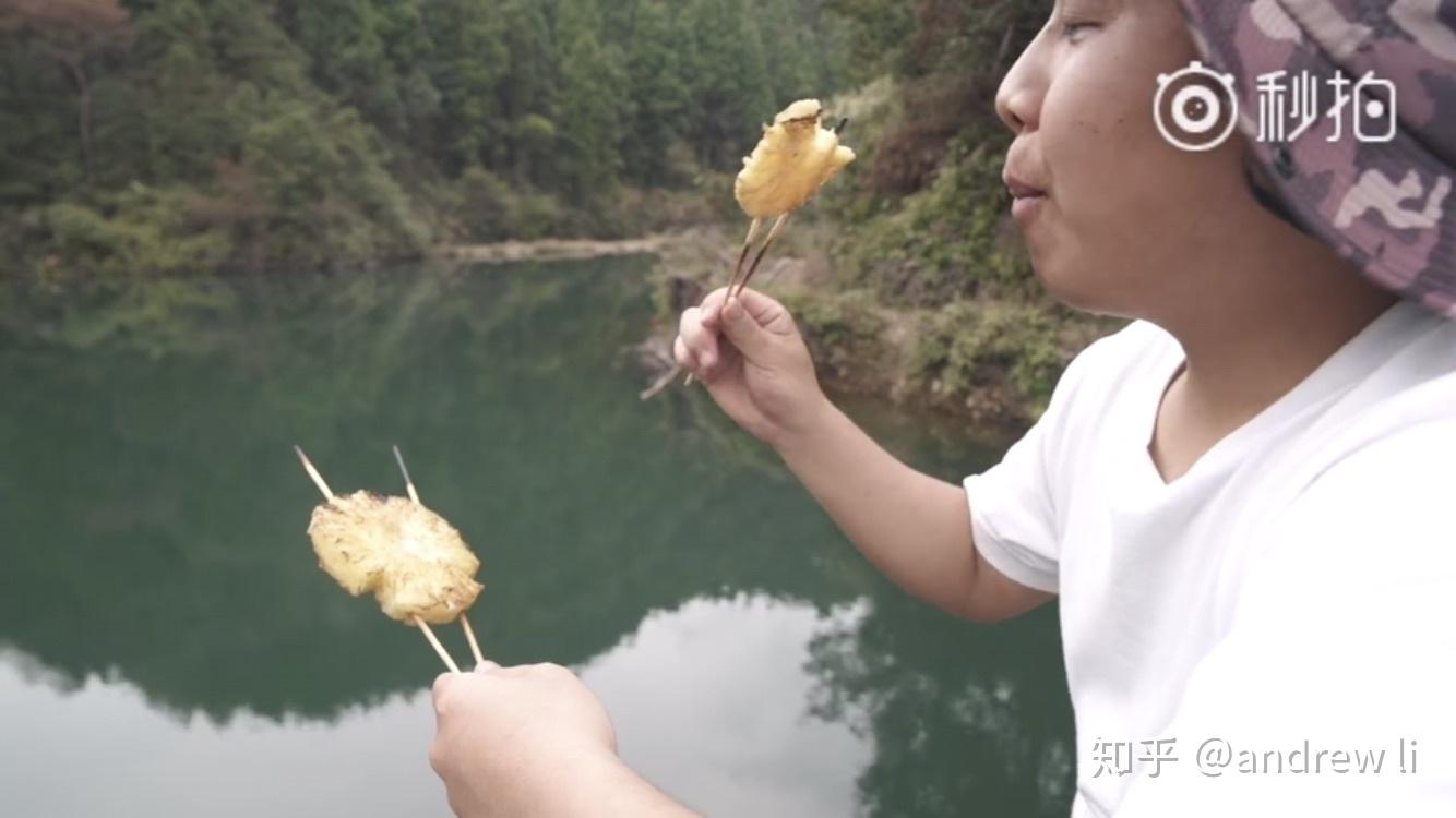 微博里的野食小哥用的是什么摄影机?