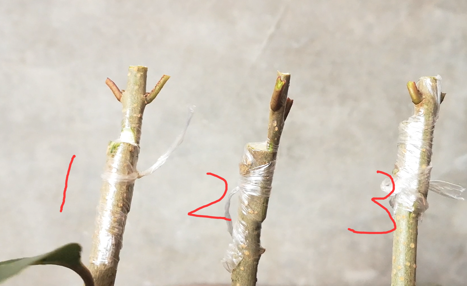 具体怎么操作?来给大家演示一下