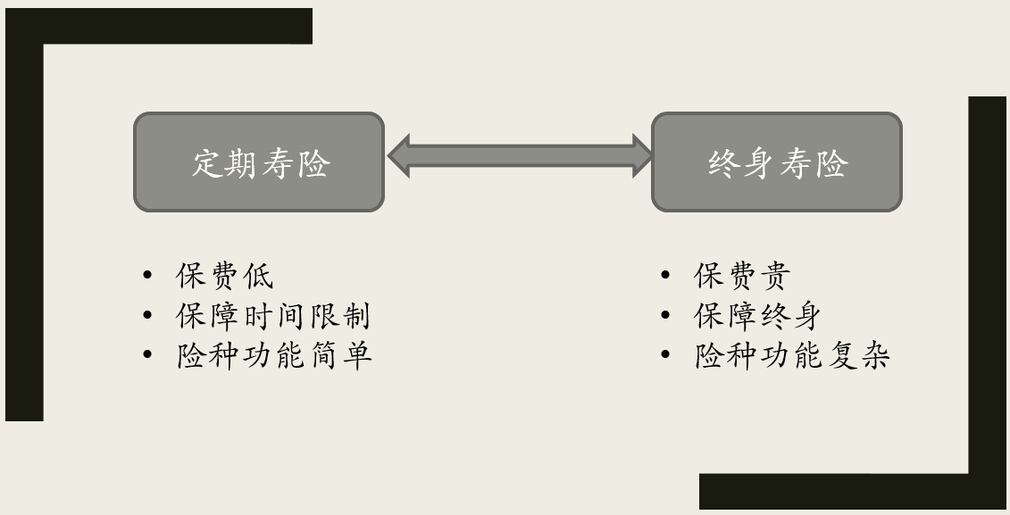 定期壽險是極簡的保障產品,純粹就是出於保障目的而設計的.一