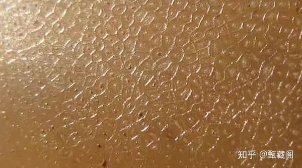 视觉下的犀牛角鱼子纹您研究过吗