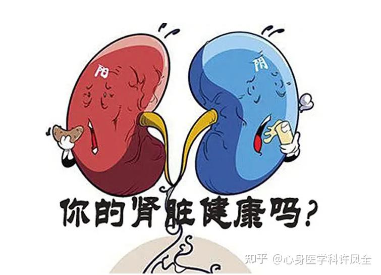 肾虚的症状可不止有你理解的那一种,来看看你有没有以下症状吧! - 知乎