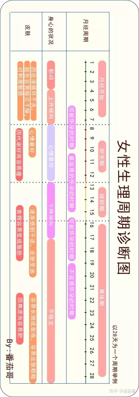 月经周期的长短因人而异,为21～36 天之间,平均约为28天.