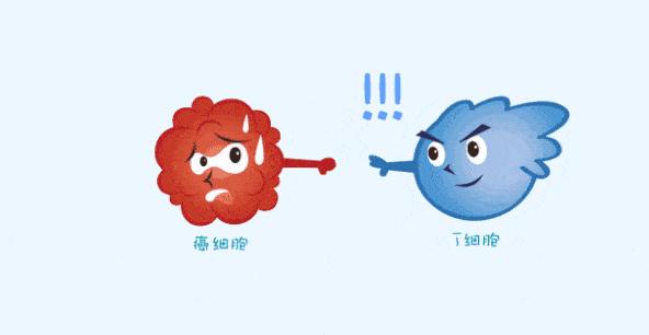 当pd-1/pd-l1互相结合,免疫细胞就像被蒙住了双眼,完全不认识敌军肿瘤