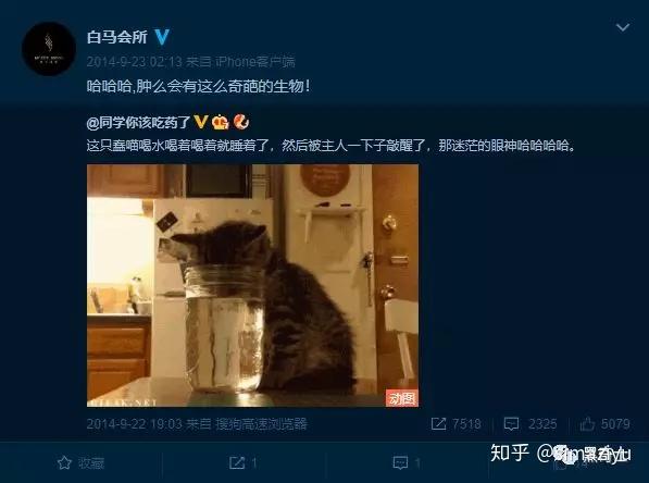 深扒白马会所男模被打断腿深层原因是