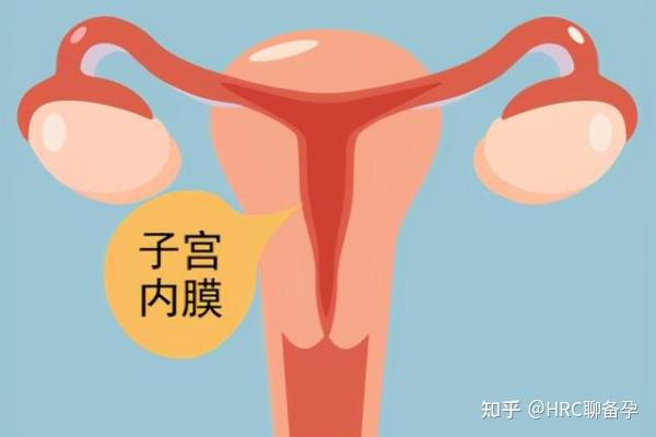 孕5周白带粉色吃黄体酮保胎对胎儿有影响吗？