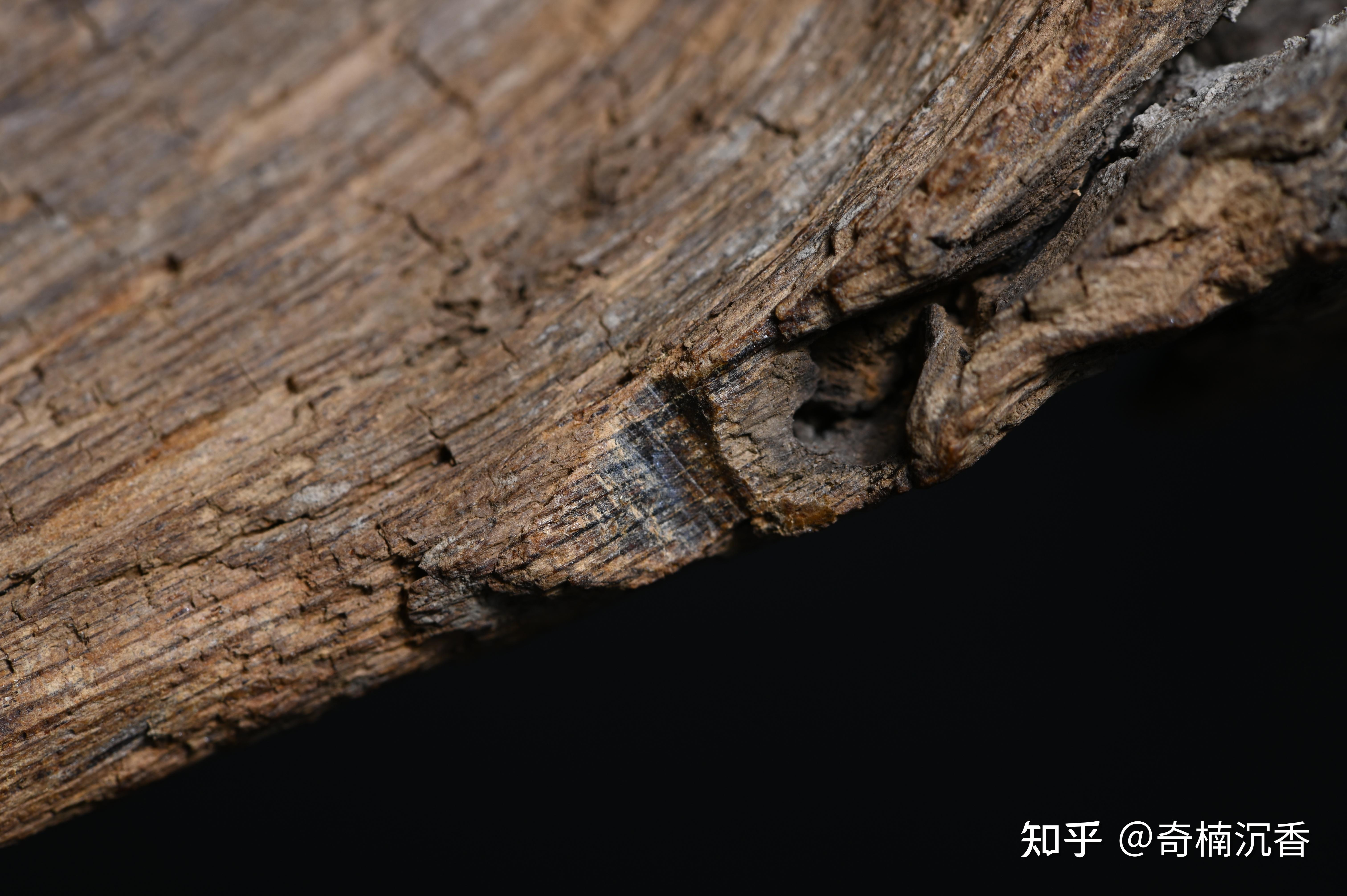 一图读懂世界沉香产区分布及香韵特征