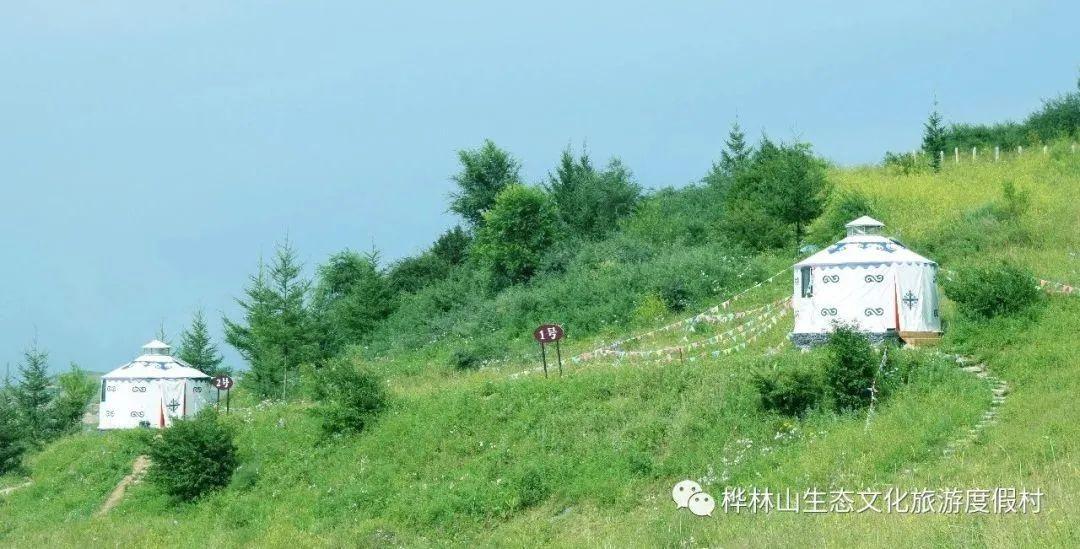 避暑就来陇西桦林山,在山泉翠林间尽享清凉时刻! - 知乎