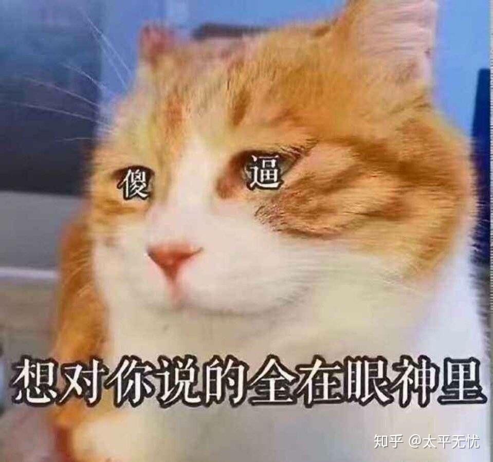 v2-fb7b65c052063363dcc1ac91dec5ee41_r.jpg