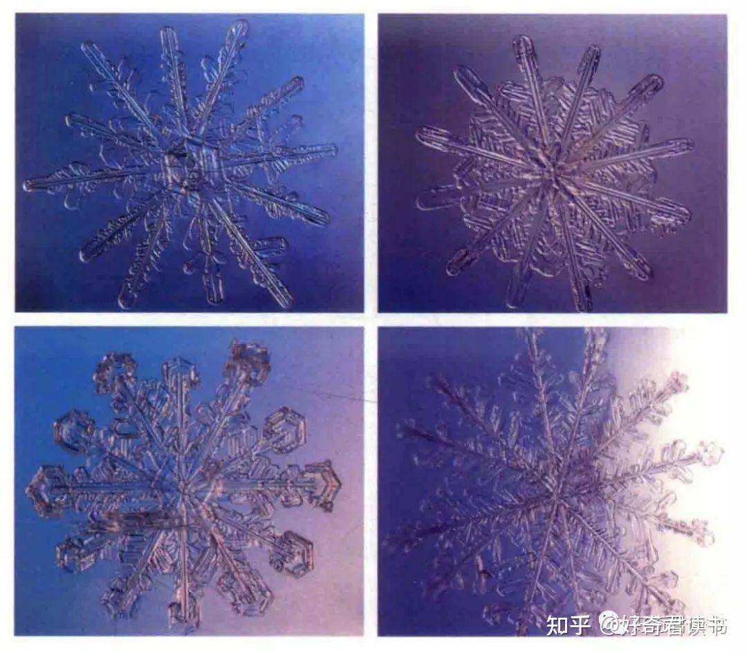 尊贵的雪花显微镜下的雪花照片集和科学冷知识