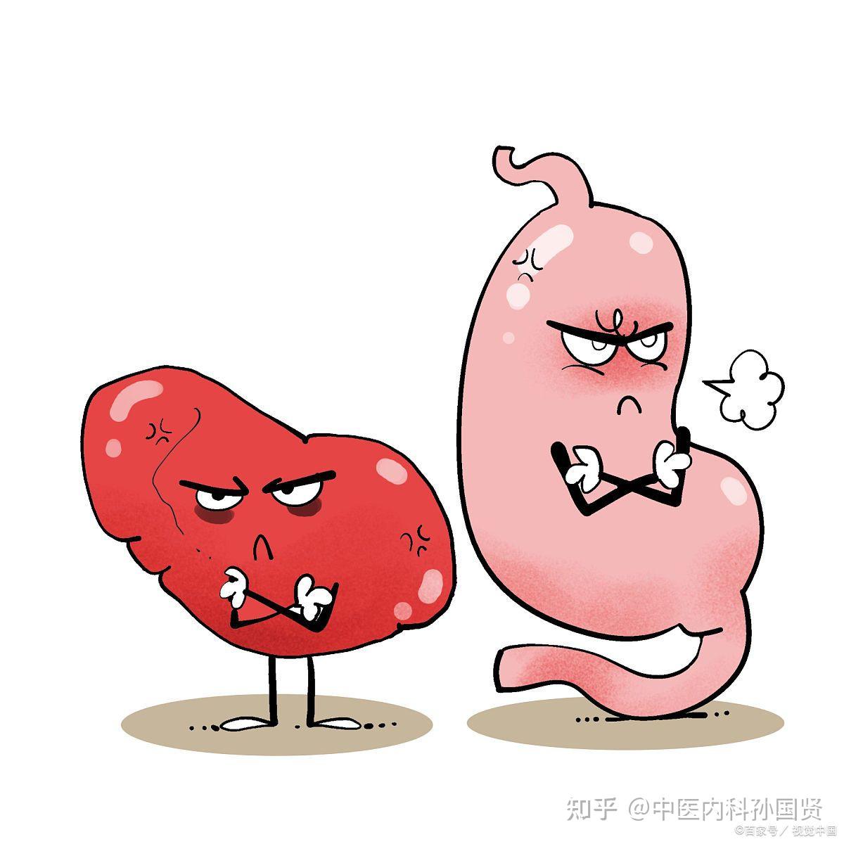 脾胃虚弱消化不良教你1方先健脾再疏胃吃饭香