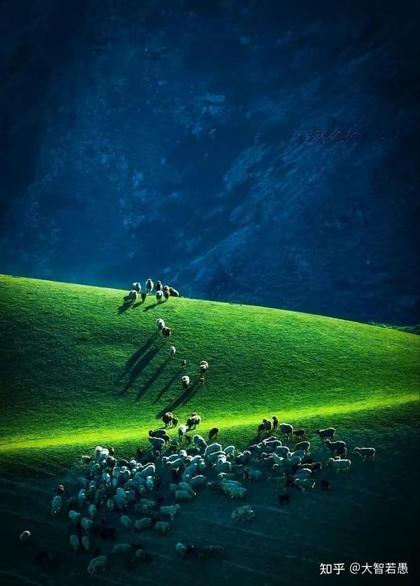 天上草原 - 知乎