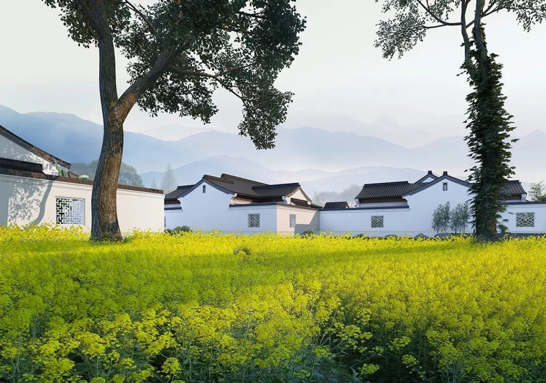 GN栖城设计 | 侠隐的村落——安吉桃花源·方竹园 | 沈利江 - 知乎