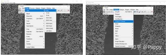科研干货 | 教你如何玩转多功能处理工具Image J - 知乎
