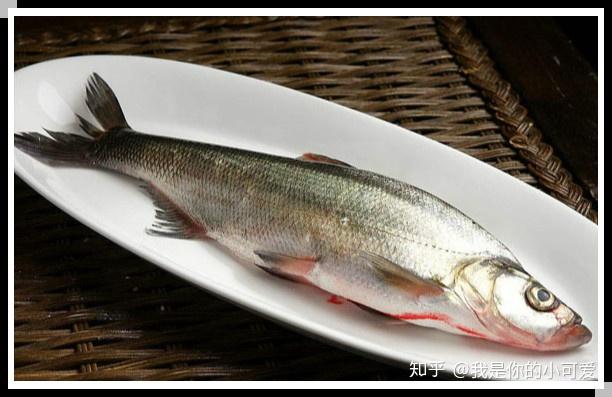 什么鸡下的蛋是绿皮的 v2-fbd7d3778da9a83065647212174492d5_r.jpg