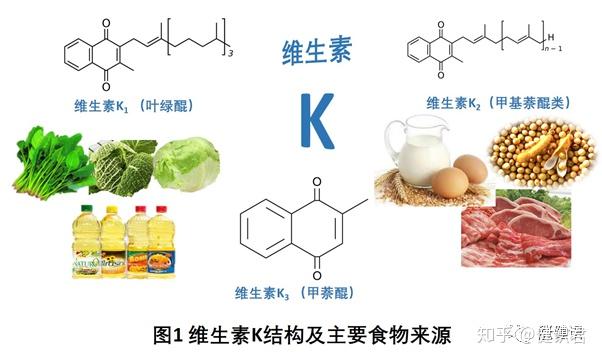 维生素k系列一: 维生素k与人体健康