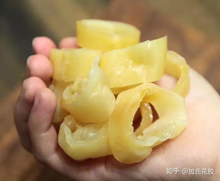 花胶怎样吃最好?吃花胶要注意些什么? - 知乎