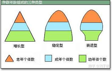 人口年龄结构的简单数学建模