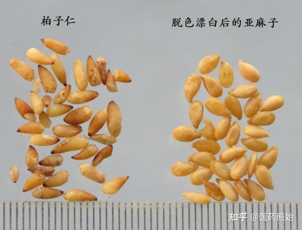带你识别柏子仁 - 知乎