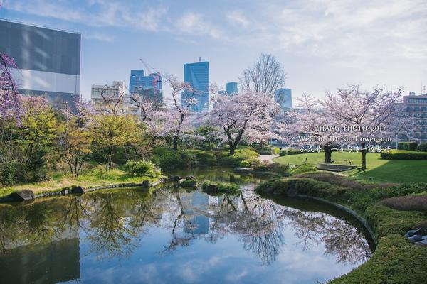 花见2017六本木毛利庭园