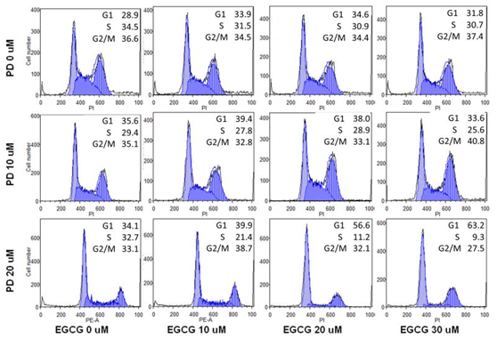 人参egcg在人类结肠直肠癌细胞凋亡中的协同作用