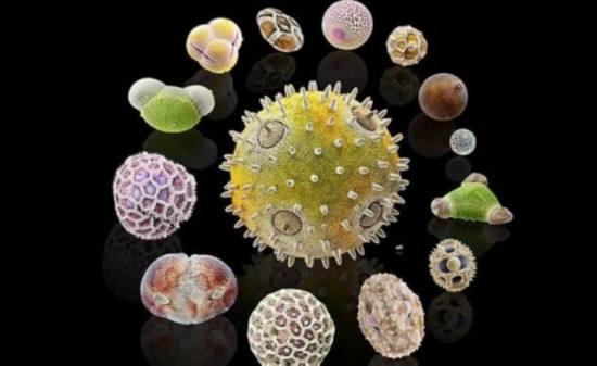 001微米)以上包括尘螨,花粉,植物孢子,霉菌,病毒,tvoc在内的各类空气